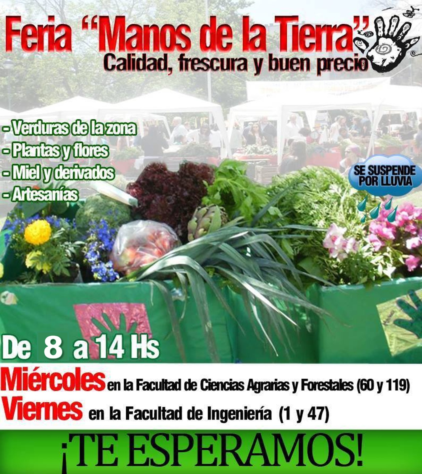 ¡VUELVE LA FERIA MANOS DE LA TIERRA!