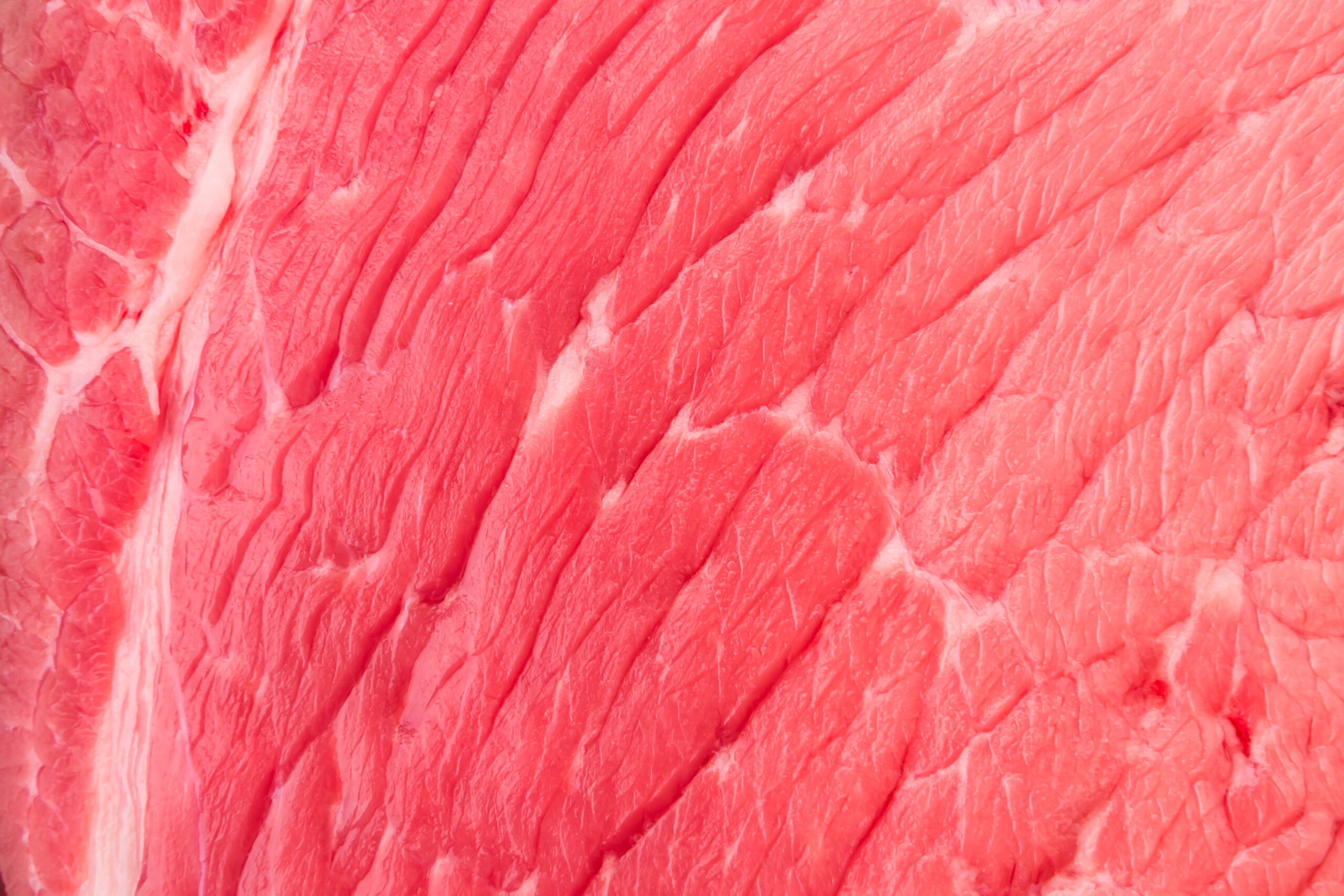 CURSO USO DE LA ECOGRAFÍA EN ANIMALES VIVOS PARA DETERMINAR LA CALIDAD DE CARNE