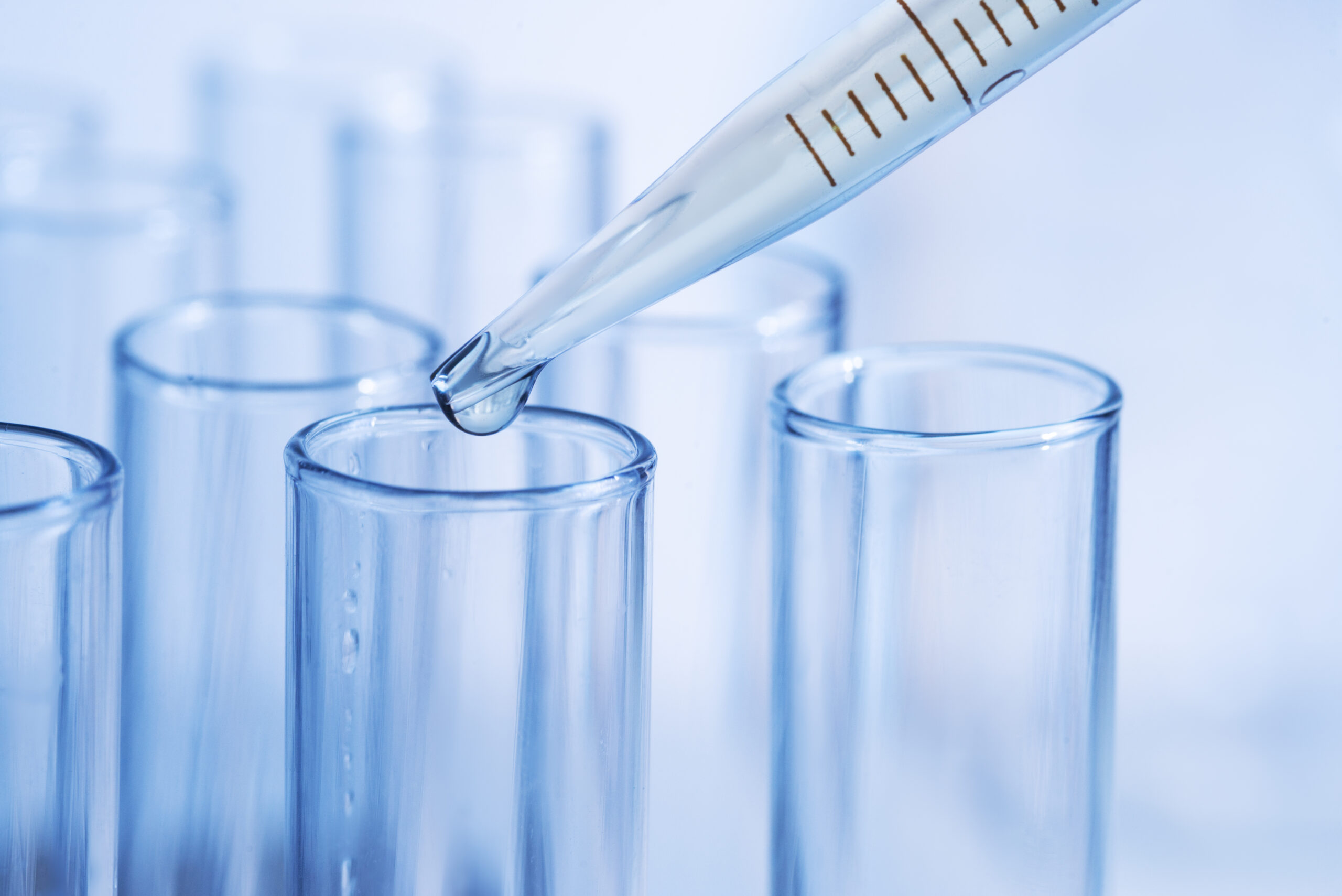 PLAZA DE DOCTORADO MSCA COFUND QUE COMBINA LA BIOLOGÍA CON LA MICROFLUÍDICA PARA DESARROLLAR NUEVAS HERRAMIENTAS SOSTENIBLES EN BIOTECNOLOGÍA
