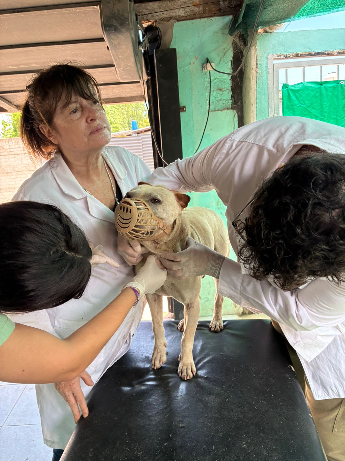 ÚLTIMA JORNADA DE EXTENSIÓN EN EL BARRIO EL MOLINO