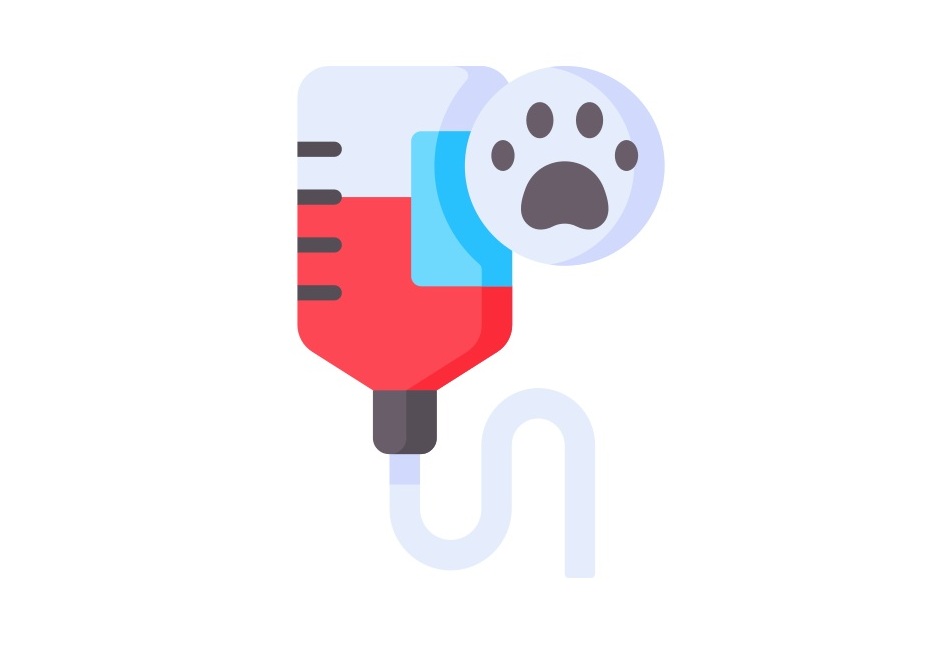 DEFENSA DE TESIS DOCTORAL DE LA MÉDICA VETERINARIA MAGDALENA MARCHIONNI