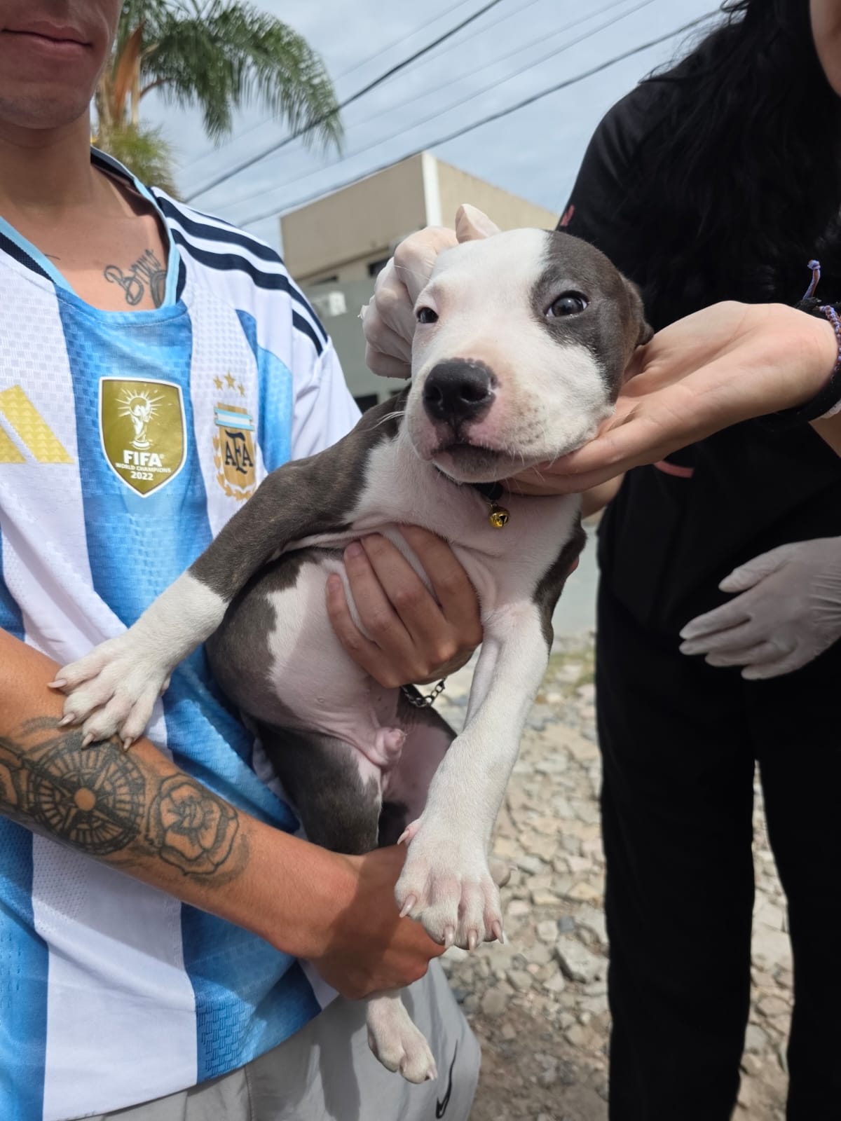 EL CICLO DE ATENCIÓN PRIMARIA Y SALUD PÚBLICA LLEGÓ A SAN CARLOS