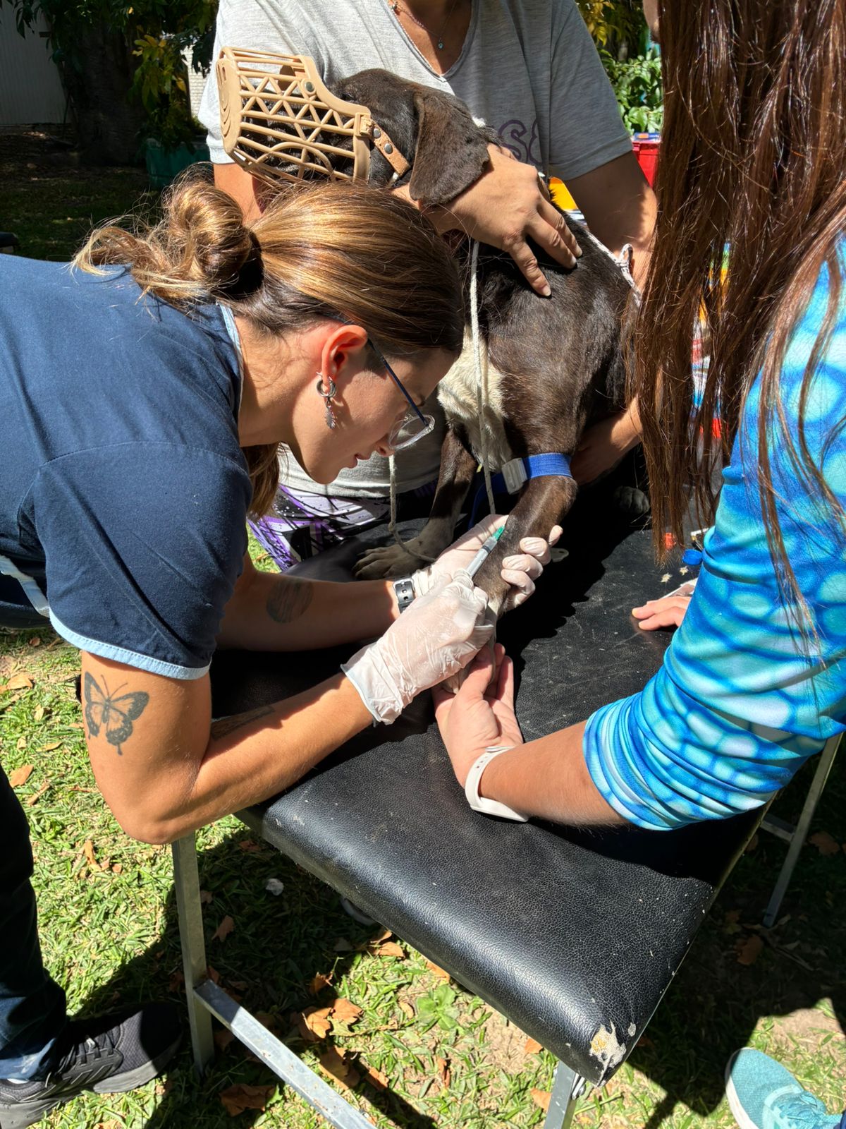 EL LAPAHUZO TOMÓ MUESTRAS EN LA ISLA SANTIAGO
