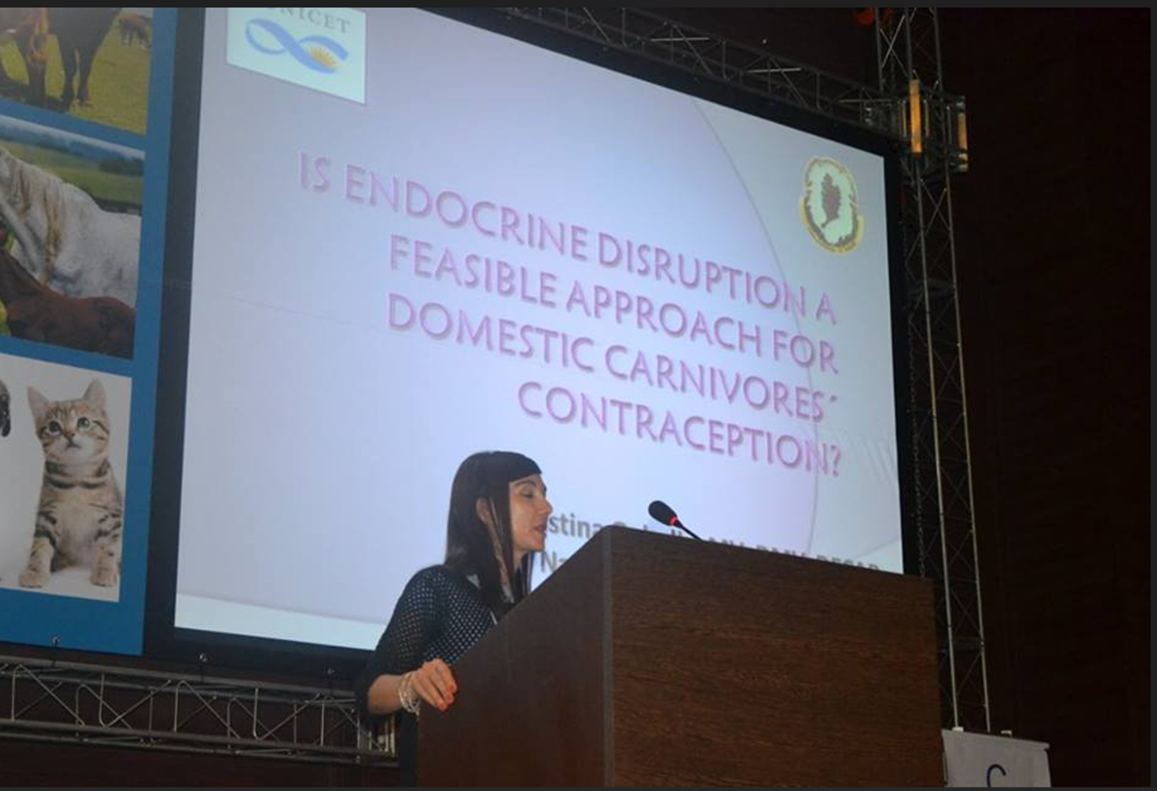 CRISTINA GOBELLO SE CONVIRTIÓ EN LA PRIMERA MÉDICA VETERINARIA EN OBTENER LA CATEGORÍA DE INVESTIGADORA SUPERIOR DEL CONICET