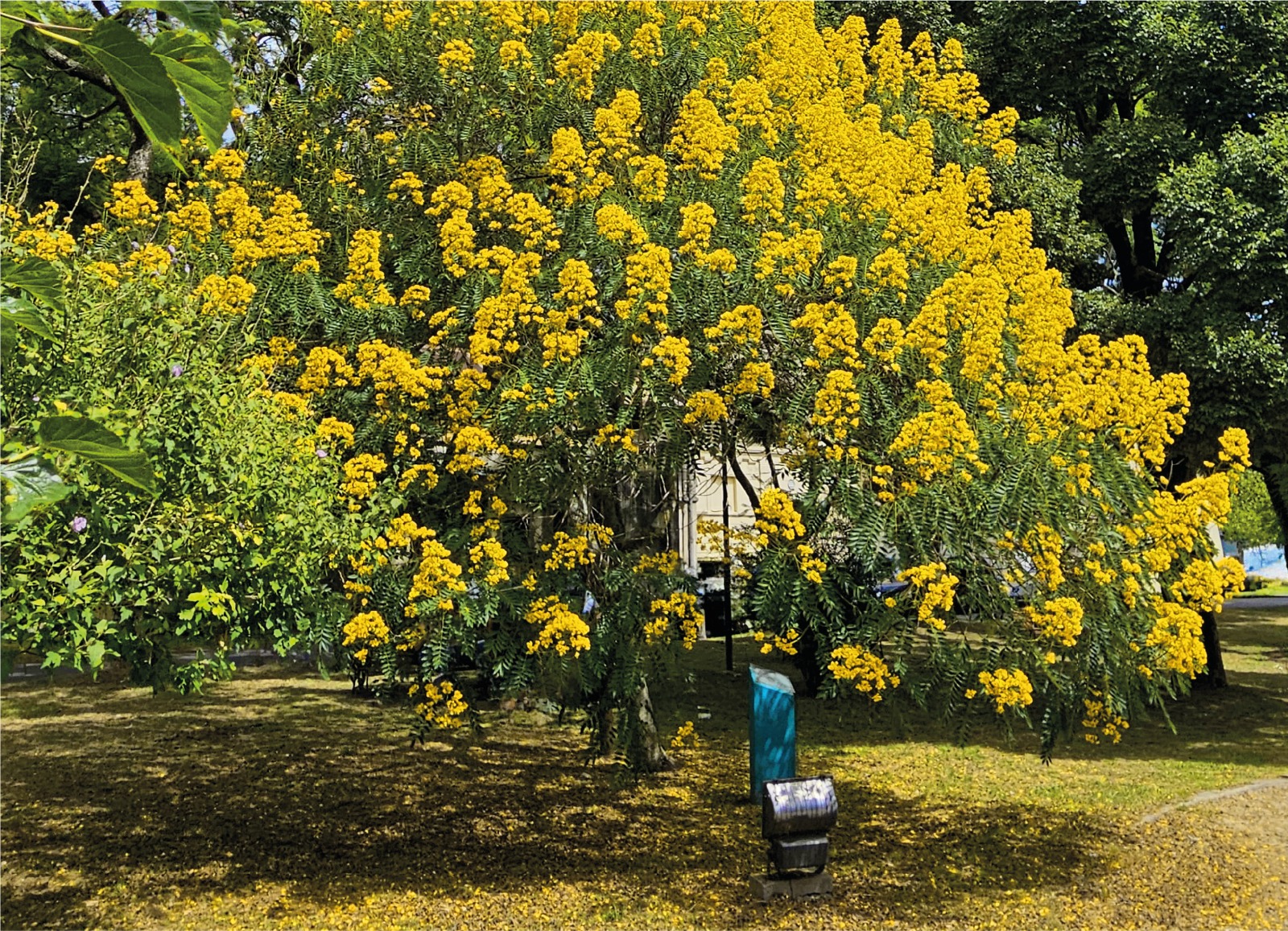 ACTO INSTITUCIONAL DE MEMORIA, VERDAD Y JUSTICIA