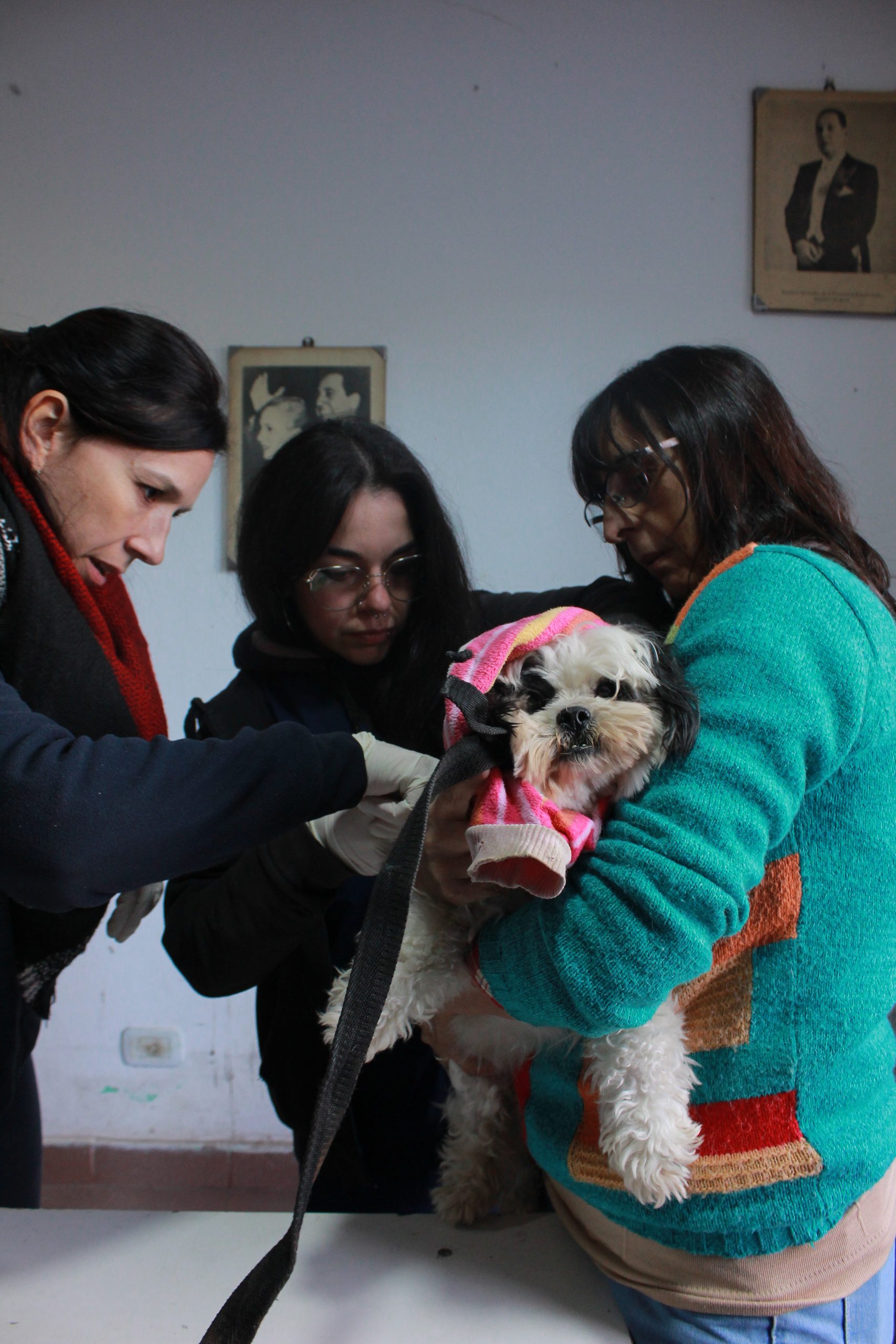 UN BARRIO, UNA SALUD. EQUILIBRIO ENTRE LAS PERSONAS, EL AMBIENTE Y LAS MASCOTAS