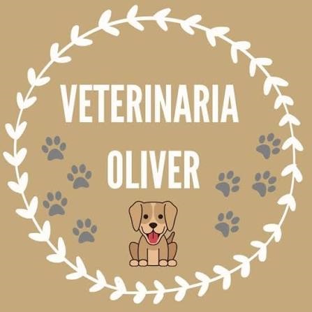 VETERINARIA OLIVER – PRÁCTICAS EN CLÍNICA DE CANINOS Y FELINOS DOMÉSTICOS