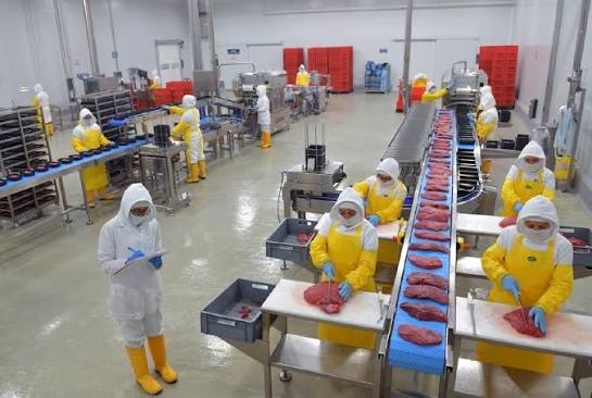 PLANTA PROCESADORA DE ALIMENTOS