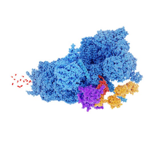 PRODUCCIÓN DE PROTEÍNAS RECOMBINANTES DE INTERÉS EN MEDICINA VETERINARIA